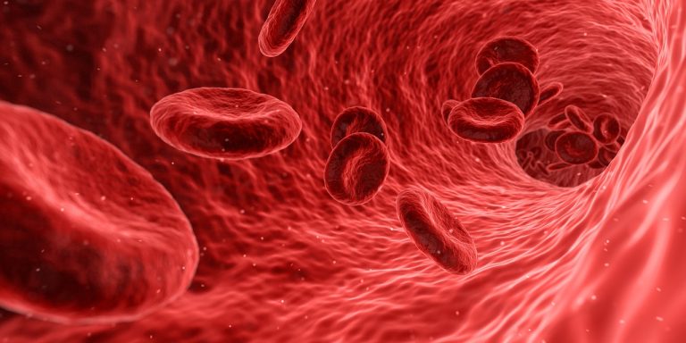 Problemas de salud. Representación de vaso sanguíneo con glóbulos rojos