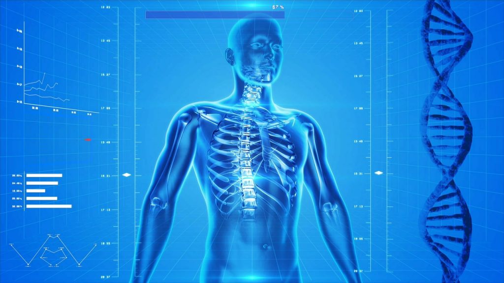 Il nostro corpo è come il funzionamento di un'auto. Rappresentazione digitale di un corpo umano